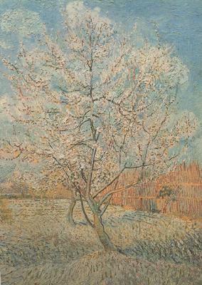 Vincent Van Gogh Peach Tree in Blossom (nn040 Spain oil painting art